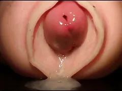 sex sex hàn
