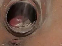 Hd khiêu dâm hd Hậu môn hd Pornstar hậu sex han xxx môn chủ hậu môn chủ