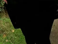 Hậu môn phim sex han q blowjob brunette đôi thâm nhập gangbang hardcore
